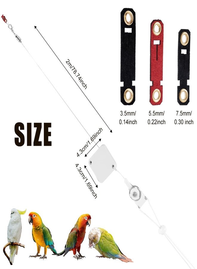 NQEUEPN Retractable Bird Leash, 6.56ft Bird Harness with 3 Sizes of Foot Rings Parakeet Flying Ankle Harness Parrot Leg Leash Outdoor Flying Training Supplies Kit for Cockatiels Budgies (White) - Image 2